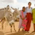 La Chispa Emprendedora: De una Idea a un Impacto Global